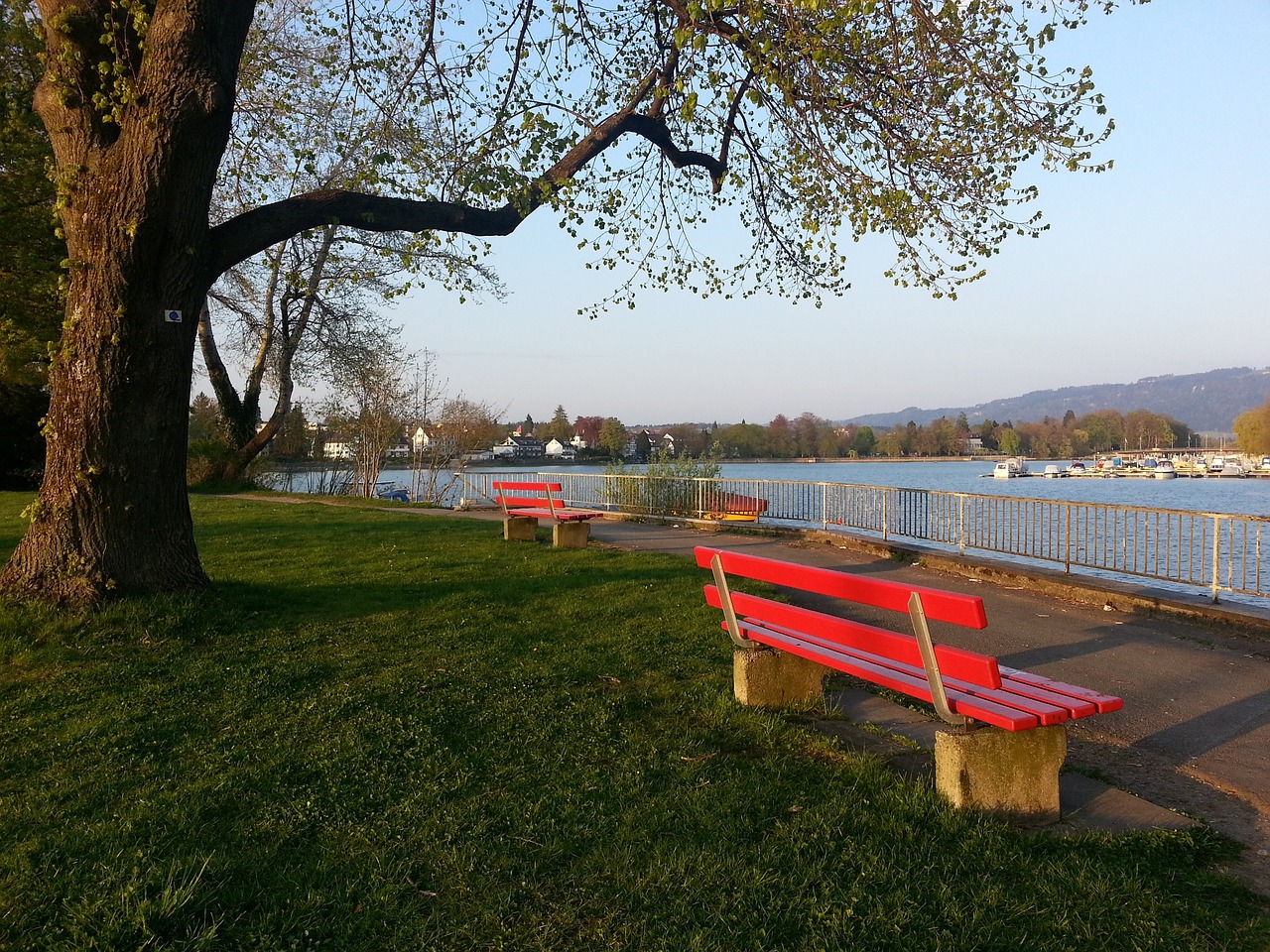 张奕的崛起 张奕的崛起