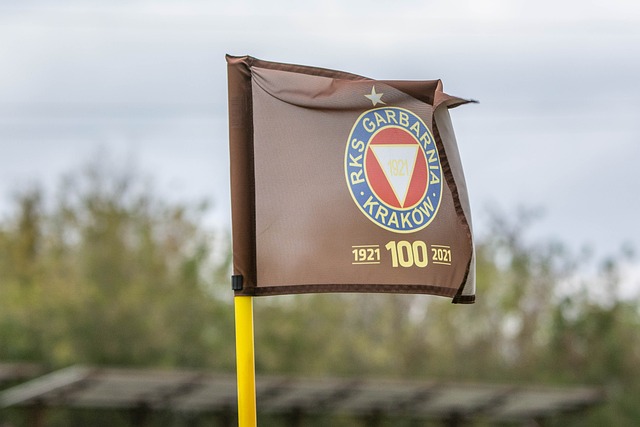 茵场上脱颖 茵场上脱颖