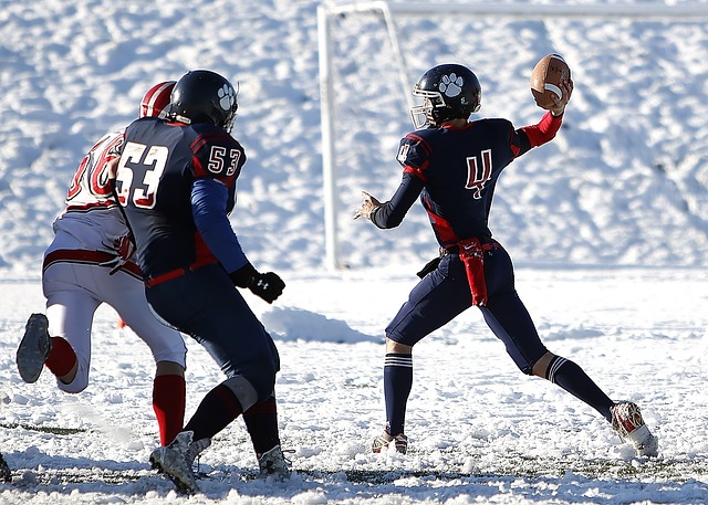 凡实力和从 凡实力和从