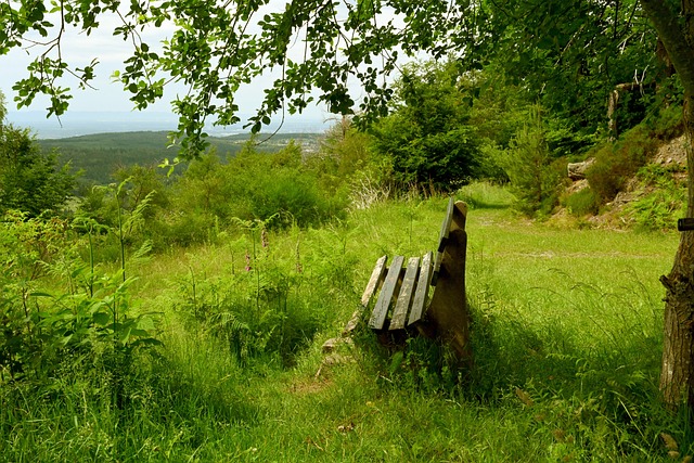 是勇士所欠 是勇士所欠
