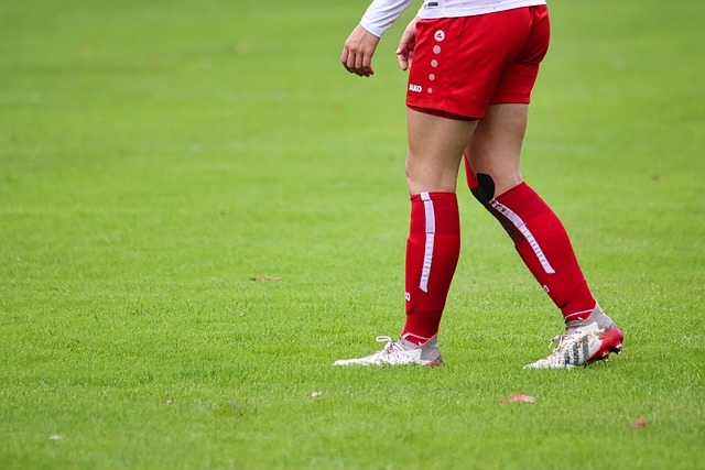 如果能順利 如果能順利